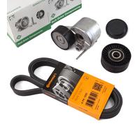 Contitech Cinghia Scanalata Ina Tenditore Ruolo per VW Transporter Multivan T6