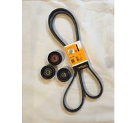Contitech Cinghie Scanalate Conti + 2 X Puleggia + 1 X Rullo di Serraggio W211