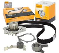 Kit distribuzione + pompa acqua CT1061WP2 CONTINENTAL CTAM per CITROËN PEUGEOT