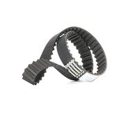 CONTITECH CT1094 Cinghia dentata