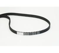 CONTITECH CT1189 Cinghia dentata