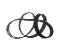 Cinghia di distribuzione CONTINENTAL CT513