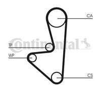 CONTITECH CT718 Cinghia dentata adatto per PEUGEOT 206 Schrägheck (2A/C)