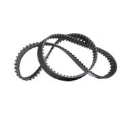 CONTINENTAL CTAM Cinghia dentata CT819 cinghia distribuzione 134 denti 25 mm