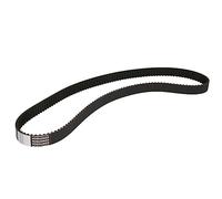 CONTITECH CT879 Cinghia dentata