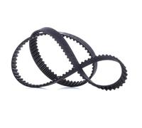 CONTITECH CT908 Cinghie distrib