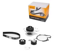 CONTITECH 6PK2490K1 Kit Cinghie Poly-V con rullo tenditore con guidacinghie