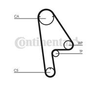 ContiTech Kit Cinghia Distribuzione Set - Ricambio N. : CT1001K1 - 112 Denti -