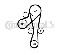 ContiTech Kit Cinghia Distribuzione Set - Ricambio N. : CT1041K2PRO - 112 Denti