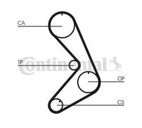 ContiTech Kit Cinghia Distribuzione Set - Ricambio N. : CT749K1 - 116 Denti - OE