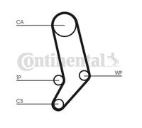 ContiTech Kit Cinghia Distribuzione Set - Ricambio N. : CT939K3 - 122 Denti - OE
