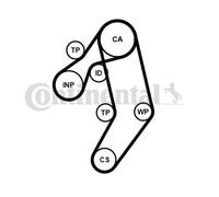 ContiTech Kit Cinghia Distribuzione Set - Ricambio N. : CT939K8PRO - 122 Denti -