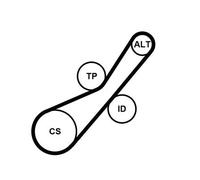 CONTITECH Kit Cinghie Poly-V 6PK800K1 con rullo tenditore con galoppino