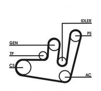 CONTITECH - Kit della Cinghia v-acanalada, 6pk1660d2