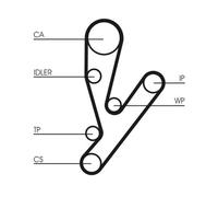 Set di cinghie di distribuzione CONTINENTAL CT1148K1