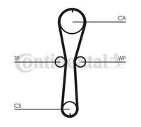 ContiTech Pompa Acqua & Kit Cinghia Distribuzione (Motore,Cooling) - CT915WP3