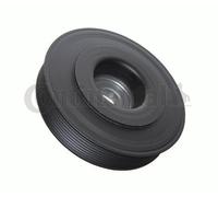 Puleggia albero motore VD1104 CONTINENTAL CTAM per RENAULT NISSAN