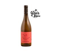 CONTRADA CONTRO CASE SPARSE 2025 VINO BIANCO BIO MARCHE IGT