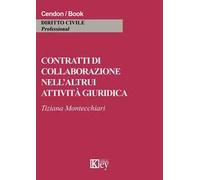 Contratti di collaborazione nell'altrui attività giuridica