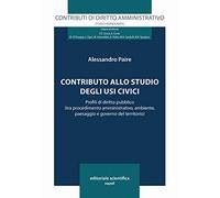 Contributo allo studio degli usi civilistici. Profili di diritto pubblico (tra procedimento amministrativo, ambiente, paesaggio e governo del territorio)