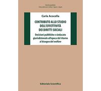 Contributo allo studio dell'effettività dei diritti sociali