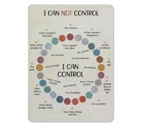 Control vs No Control Metal Sign Anxiety Guide Wall 12x8 Inch | Visual mindfulness reference chart. Easy-clean metal sign for counseling center