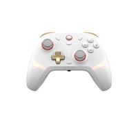 CONTROLLER DA GIOCO GAMESIR Cyclone 2 10 h Multipiattaforma