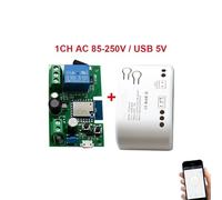 Controller for apertura porta cancello garage Tuya SmartLife App Telecomando Interruttore intelligente Relè On Off Modulo 12V Alexa Google Home(85-250V CASE)