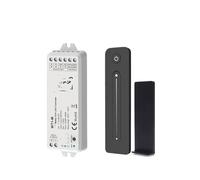 Controller LED 2CH DC12V 24V * 5A WW CW CCT 2.4G dimmerabile(WT1-M and R11)