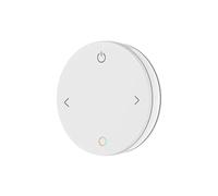 Controller LED 2CH DC12V 24V Dimmer Telecomando for Striscia LED WW CW NW CCT(CCT 4-Button Remote)