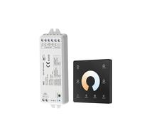 Controller LED dimmer WZ1 2CH * 5A DC 12-24V 36V adatto for strisce luminose a temperatura di colore singolo(WZ1+TW2)