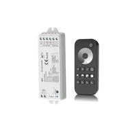 Controller LED dimmer WZ1 2CH * 5A DC 12-24V 36V adatto for strisce luminose a temperatura di colore singolo(WZ1+RT1)