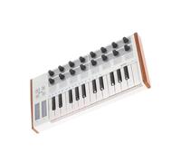 Controller Per Tastiera Portatile Mini Controller USB Professionale A 25 Tasti Drum Pad Strumenti A Tastiera Organo Elettronico