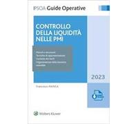 Controllo della liquidità nelle PMI. Con software