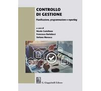 Controllo di gestione. Pianificazione, programmazione e reporting
