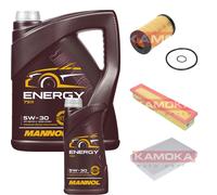 Controllo Set 6L Energy 5W-30 Per Renault Clio II 1.2 16V Kangoo Thalia I