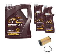 Controllo Set 9 L Energy 5W-30 per Land Rover Discovery III 2.7 TD 4x4 Range