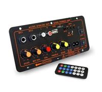 Controllore DJ, Scheda amplificatore MP3 5.0 da 600 W 12 V 24 Modulo AMP doppio microfono USB TF FM Musica for auto Suono dei bassi senza perdita for Subwoofer(D300 600W Amplifier)