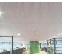 CONTROSOFFITTO ROCKFON EKLA PANNELLO IN LANA DI ROCCIA 60X60 CM