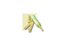 CONVEEN GUA STR 40MM 30PZ 5140