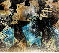 Converge AXE TO FALL (CD)