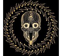 Converge - Converge - Thousands Of Miles Between Us - 3 Blu-ray