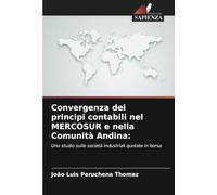 Convergenza dei principi contabili nel MERCOSUR e nella Comunità Andina:: Uno studio sulle società industriali quotate in borsa
