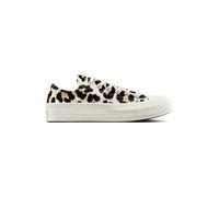 Converse Chuck 70 Leopard Egret/black/coastal Dune Taglia: 36 | Outlet | Unisex |