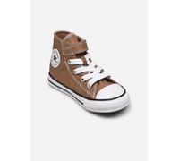 Converse - Chuck Taylor All Star 1V Canvas Seasonal Color Hi I Marrone - Sneakers 20 Marrone