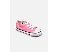 Converse - Chuck Taylor All Star Core Ox E Rosa - Sneakers 22 Rosa