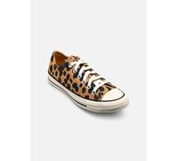 Converse Chuck Taylor All Star "Cow"