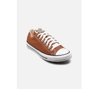 Converse - Chuck Taylor All Star Ox M Marrone - Sneakers 43 Marrone