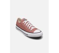 Converse - Chuck Taylor All Star Ox Rosa - Sneakers 38 Rosa