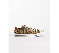 Converse - Chuck Taylor All Star Cow Print Ox Multicolore - Sneakers 40 Multicolore